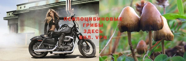 таблы Алзамай