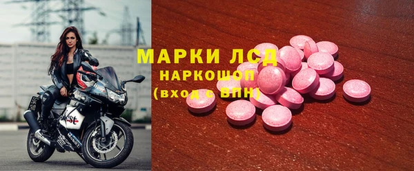 СК Абинск