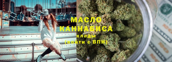 молекула духа Новодвинск