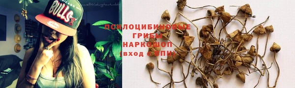 хмурый Новокубанск