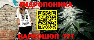 mdma Пугачёв