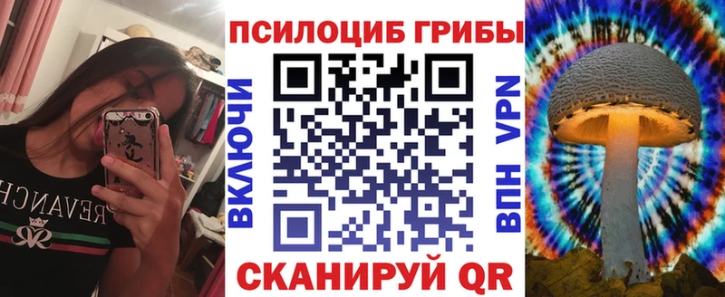 Псилоцибиновые грибы ЛСД  darknet клад  Тверь  blacksprut как войти 