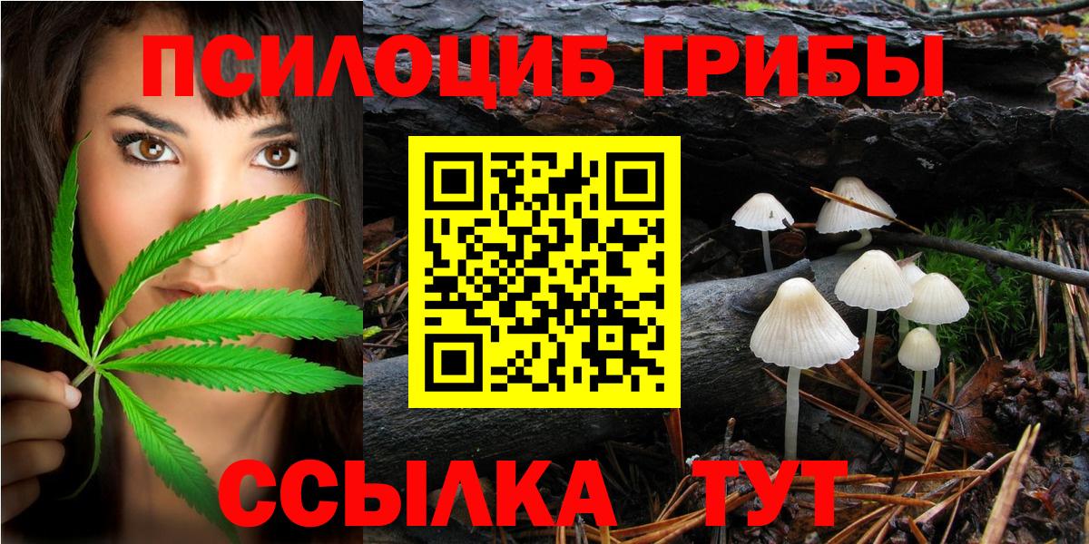 Тверь  Галлюциногенные грибы MAGIC MUSHROOMS  Вход с VPN  Галлюциногенные грибы прущие грибы 
