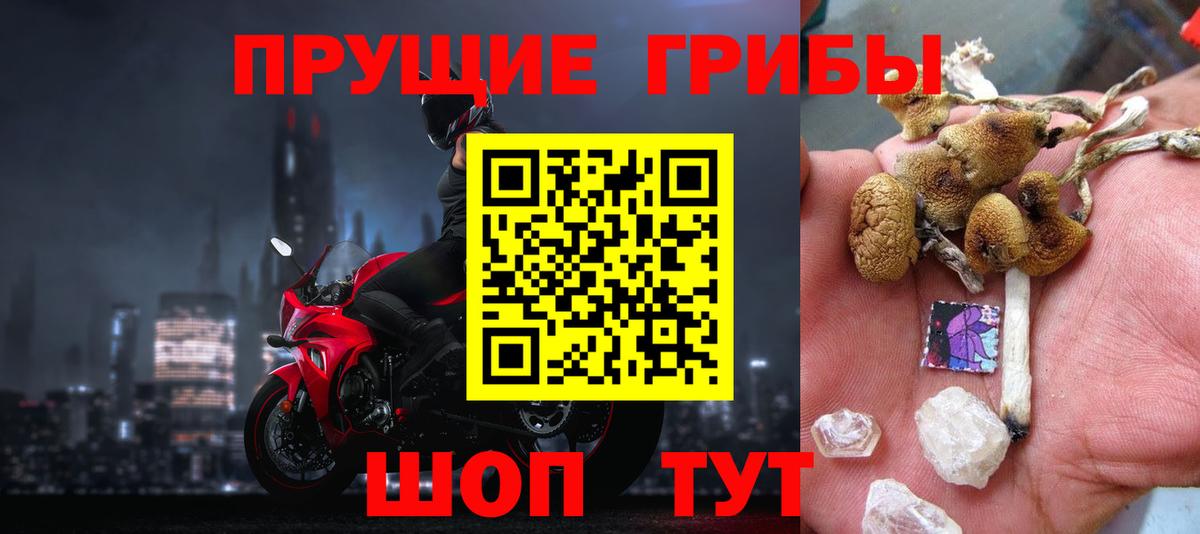 Галлюциногенные грибы MAGIC MUSHROOMS Тверь